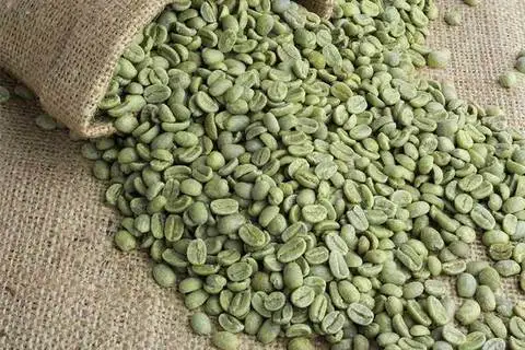 Vietnam 100% Natural Robusta Green Coffee Bean Whole Sale Price Vietnam Green Coffee Bean Attractive Flavor Vietnam Manufacturer