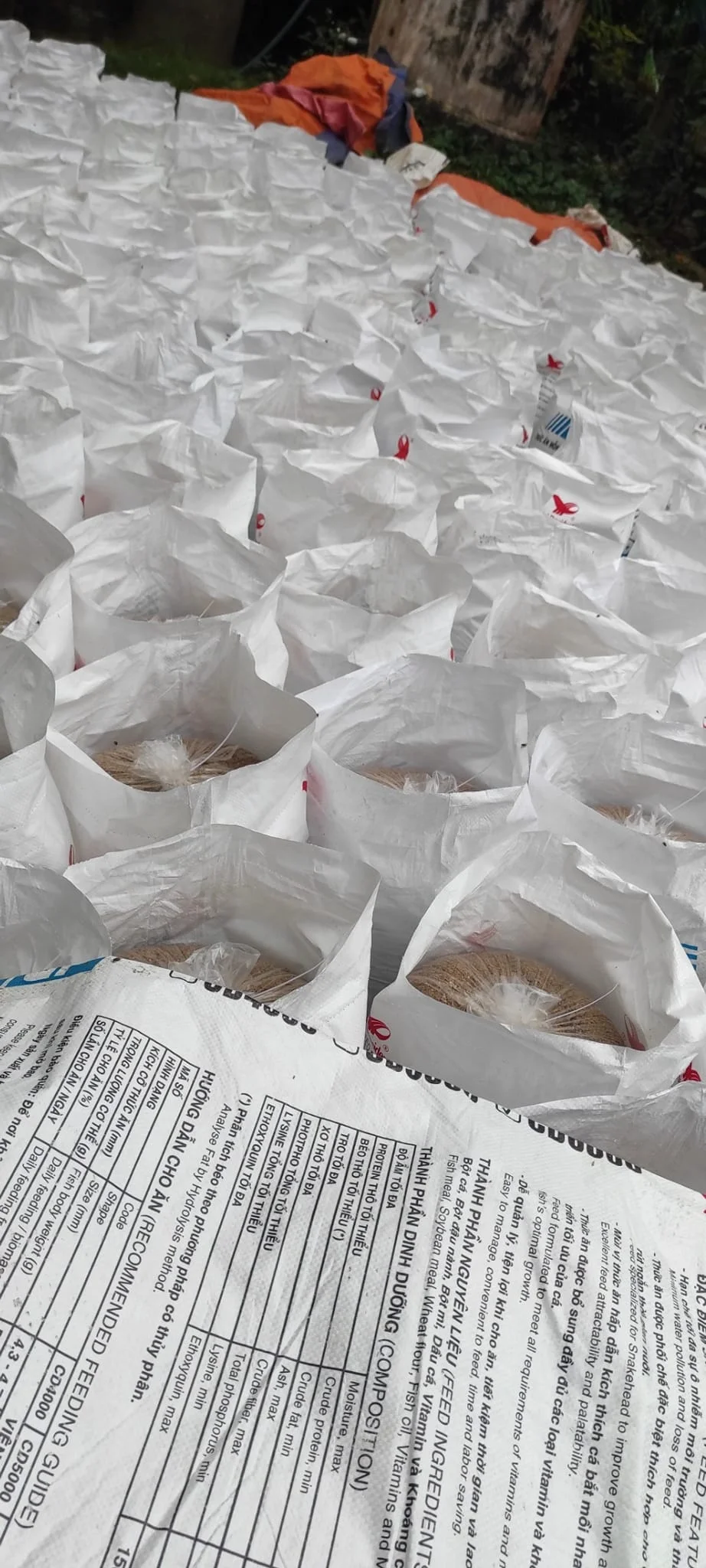 HIGH PROTEIN BEER MEAL RESIDUE/ DRIED BREWERS GRAINS - BREWERS YEAST POWDER FOR ANIMAL FEED - Jolie ( whatsapp +84902679738)