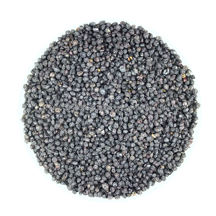 Elderberry fruits dyed (Sambucus nigra) berries are dark purple in color, almost black, have 2 or 3 seeds