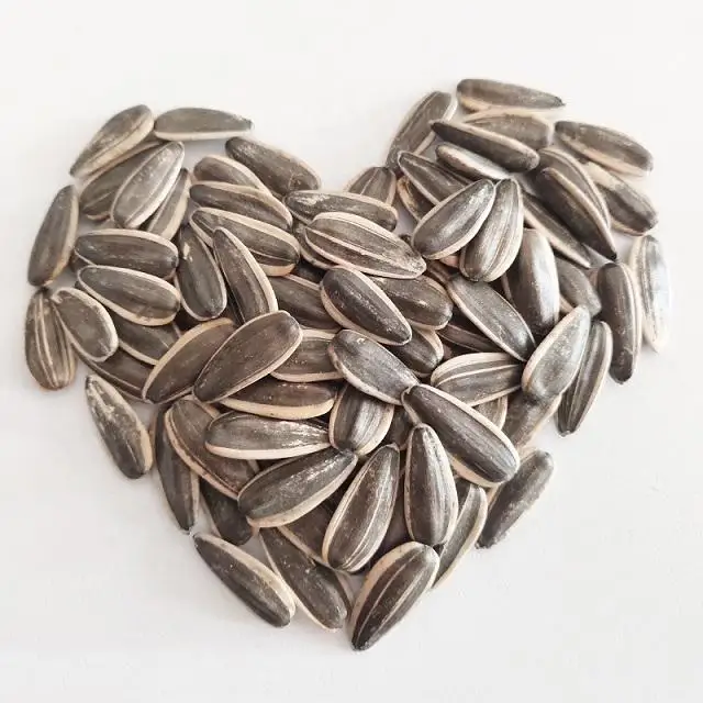 wholesale 2024 crop 361 sunflower seeds supply USA