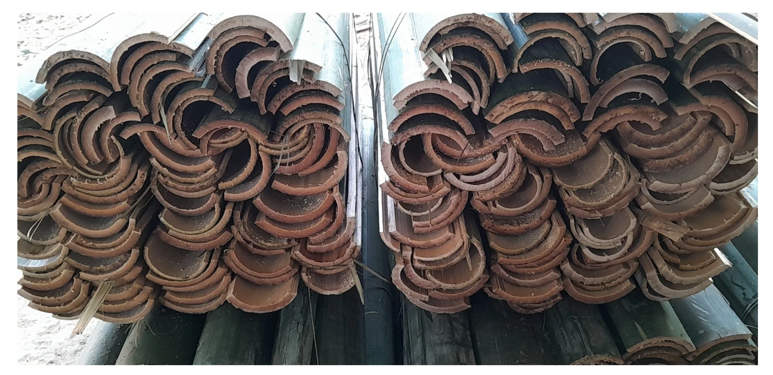 Natural Bamboo Splits Products Quality Bamboo Export In Bulk With Competitive In The Market
