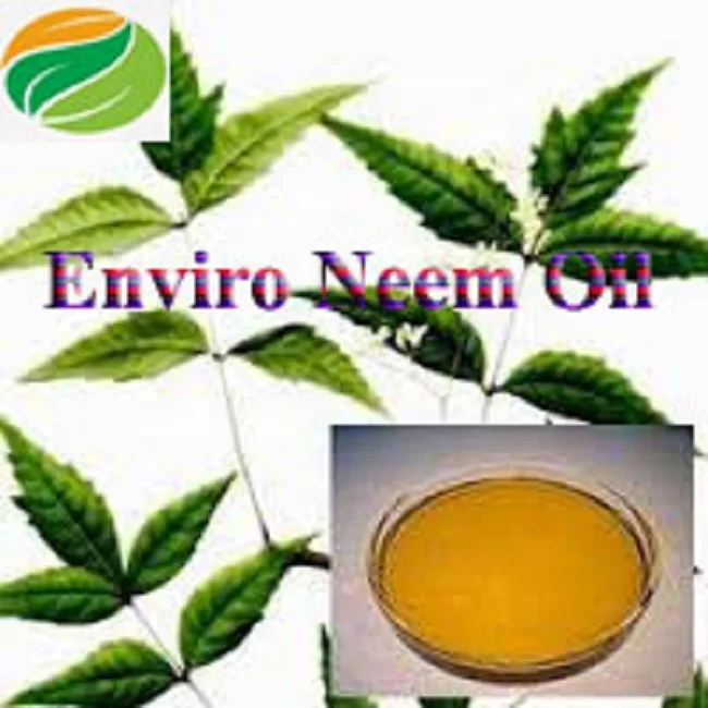 Certified Organic Cold Pressed Neem Oil ready to use Extracted by the wildly collected Natural Neem Seed at Lowest cost