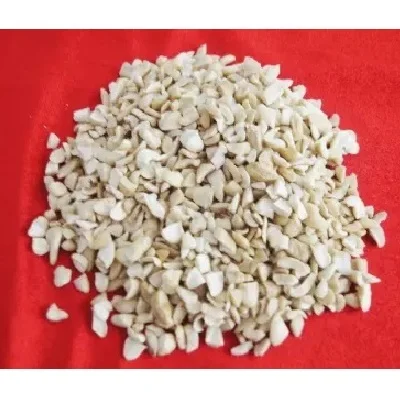 Agriculture 3 Years Shelf Life Organic Heating Dried Nuts & Kernels LP SP BB Raw Broken Pieces Cashew Nuts
