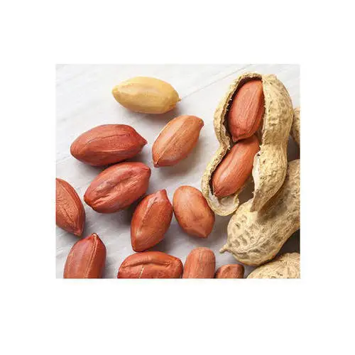 manufacturers sell peanuts kernel red skin peanut raw 100% Original Natural