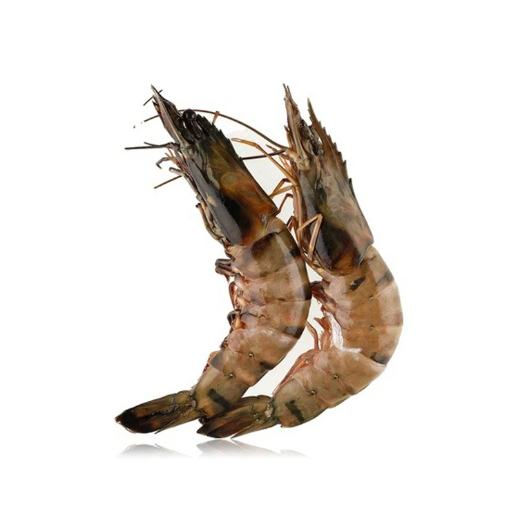 Свежие тигровые креветки для продажи по хорошей цене