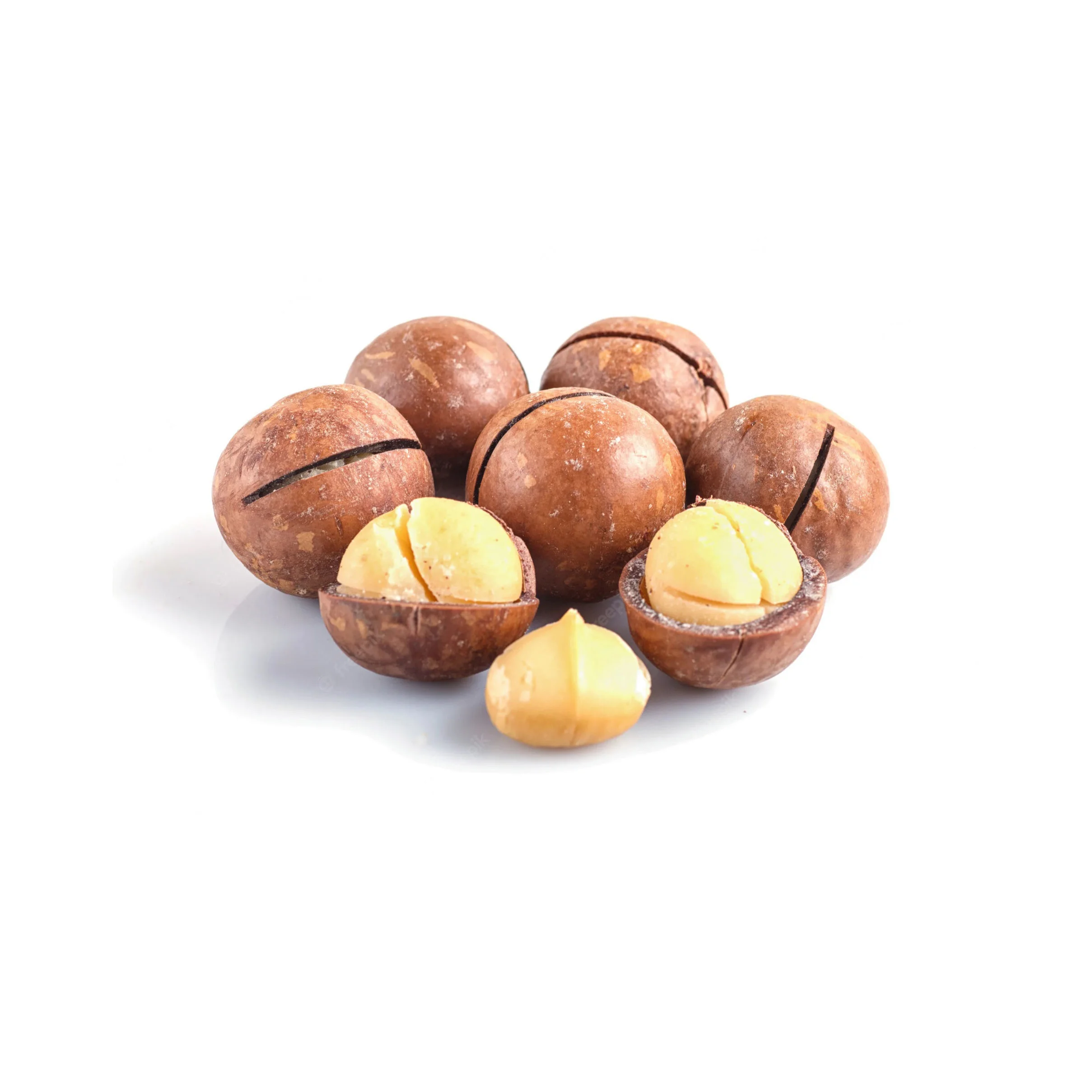 Bulk High Quality Macadamia/ Macadamia Nuts/roasted