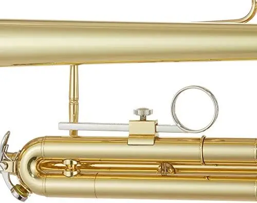 Ashthorpe Standard Bb Trumpet with Gold Brass Finished - Includes Case, Mouthpiece, Gloves, Cleaning Cloth, Valve Oil