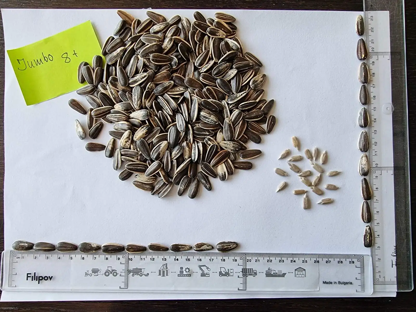 Bird Food Sunflower Seed Wholesale Top Quality Packaging Bulgarian Origin Animal Feed Small Size Sunflower seeds