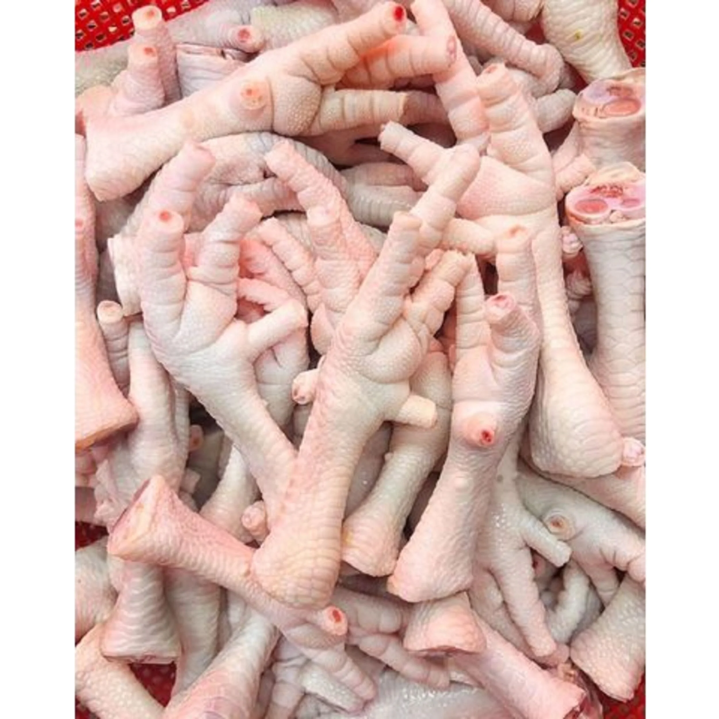 Premium Quality Halal Chicken Feet / Frozen Chicken Paws For Sale