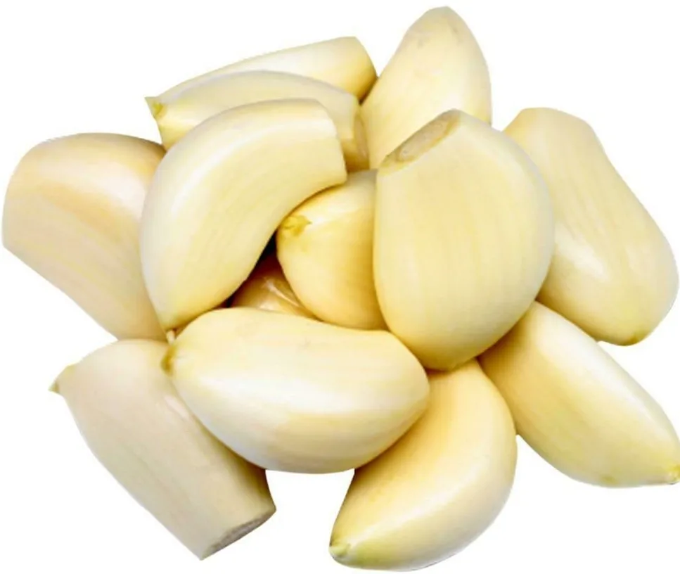 PEELED GARLIC in vacuum bag 1kg