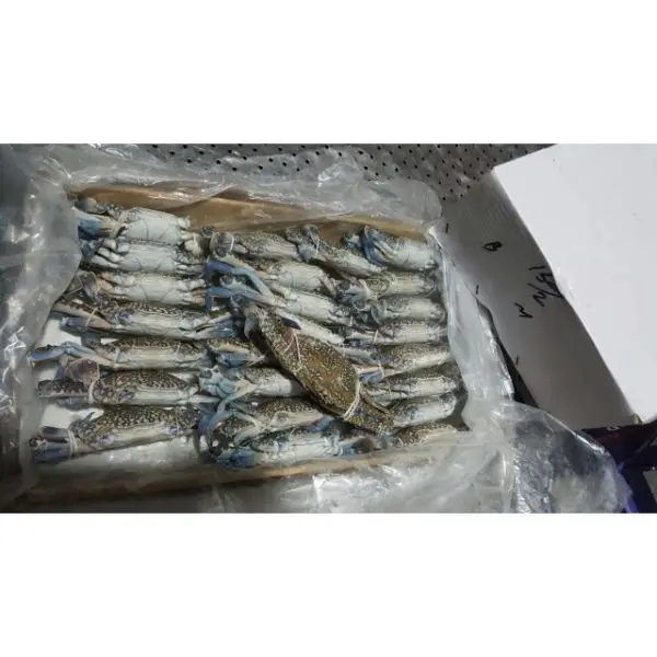 Frozen Seafood For Sale/Blue Crab Seller