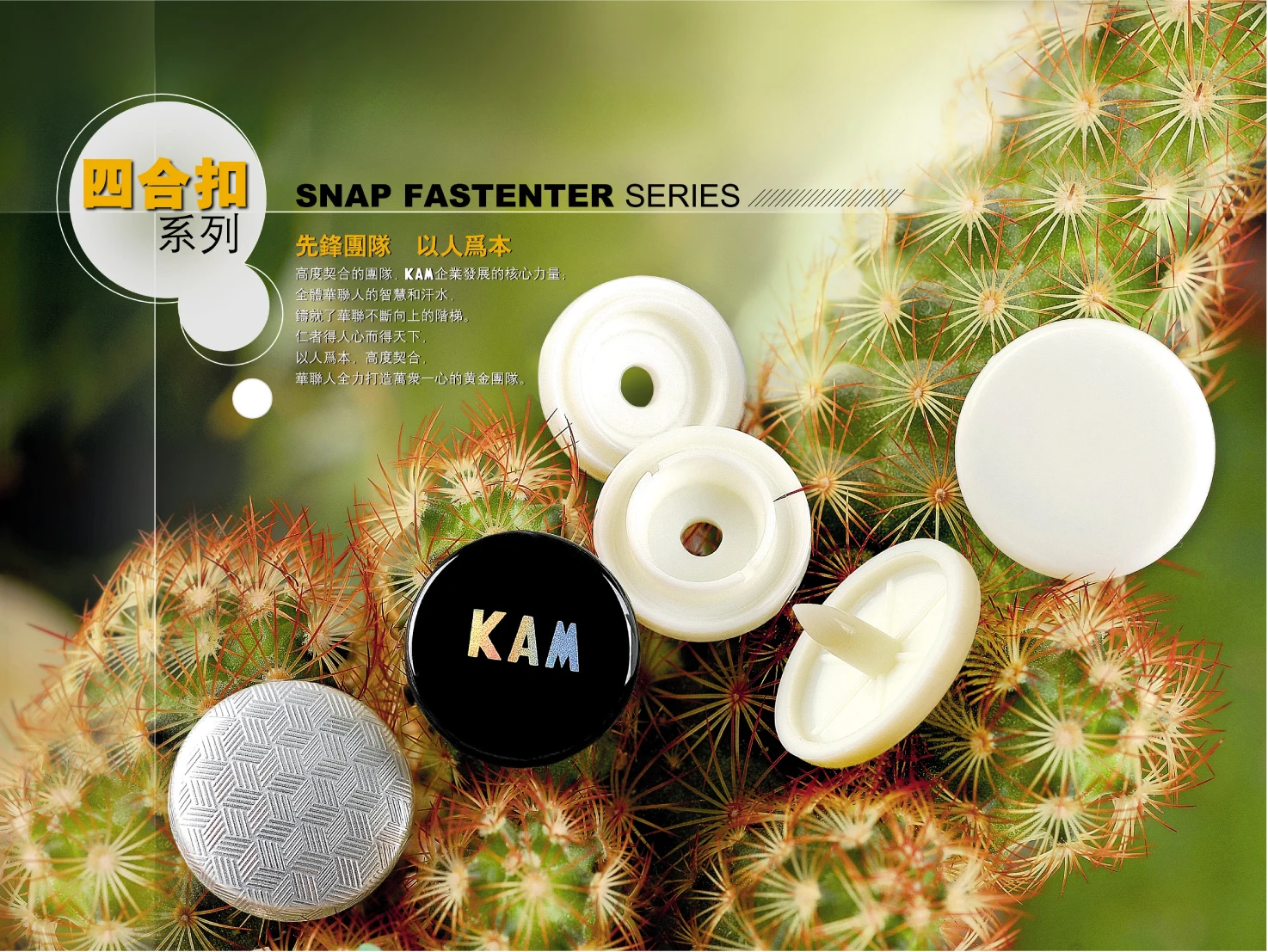 Fancy Plastic Buttons for Children Clothing