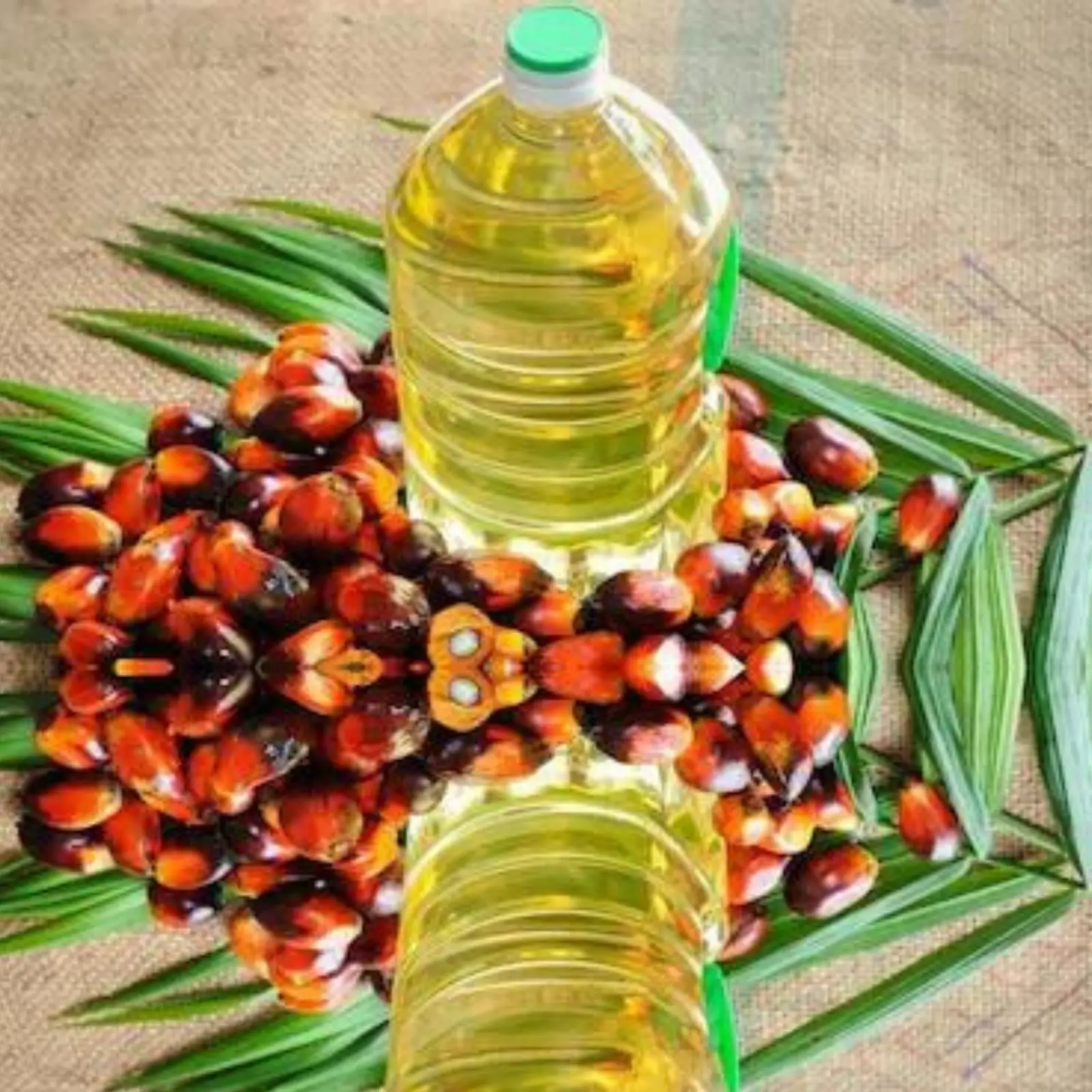 Premium Quality Refined Palm Oil Available in Bulk Packaging for Cooking Best Price on Top Quality Pure Refined Palm Oil