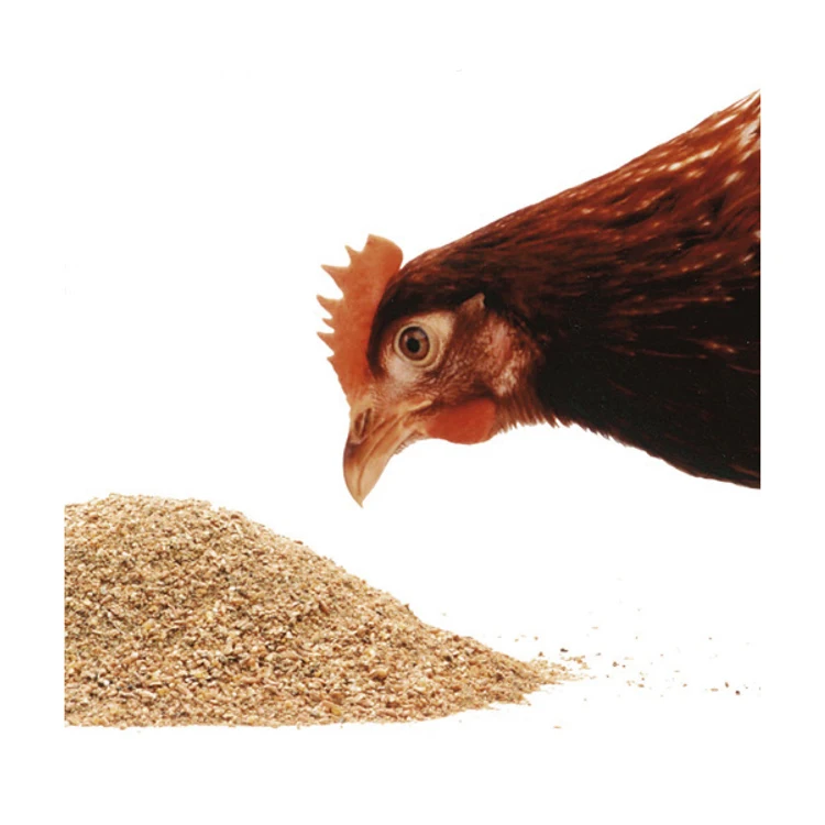 Broiler Chicken feed/broiler feed supplement