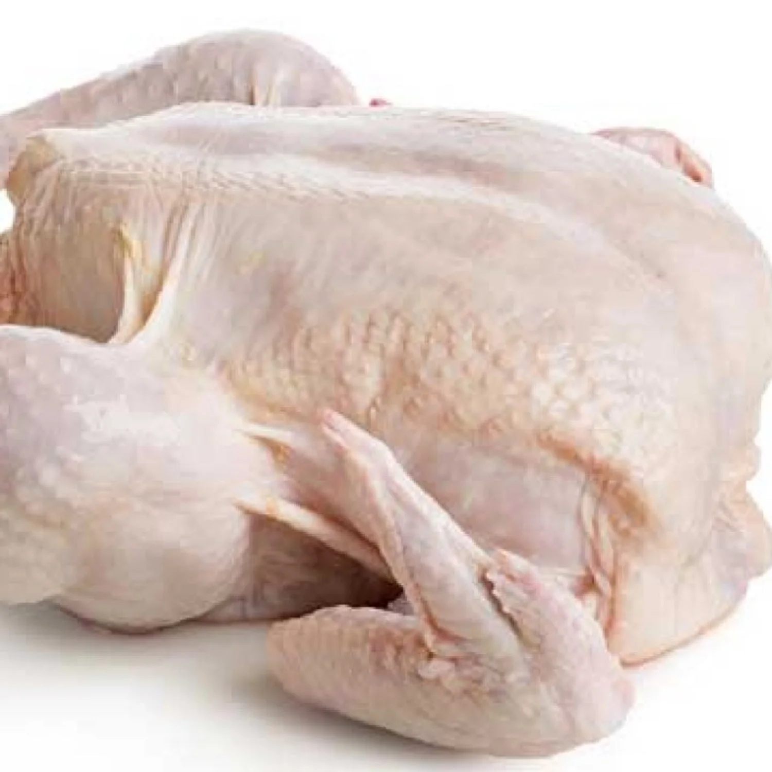 Popular factory chicken breast best price frozen chicken poultry chicken