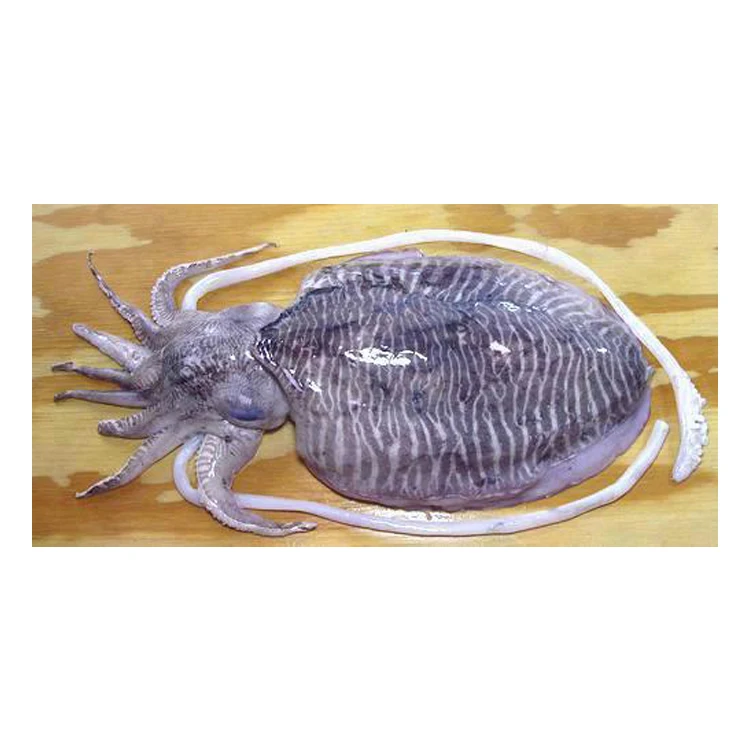 Высокое качество, оптовый экспортер, поставка холодного хранения органических продуктов, приготовление и употребление замороженной морской рыбы по хорошей цене