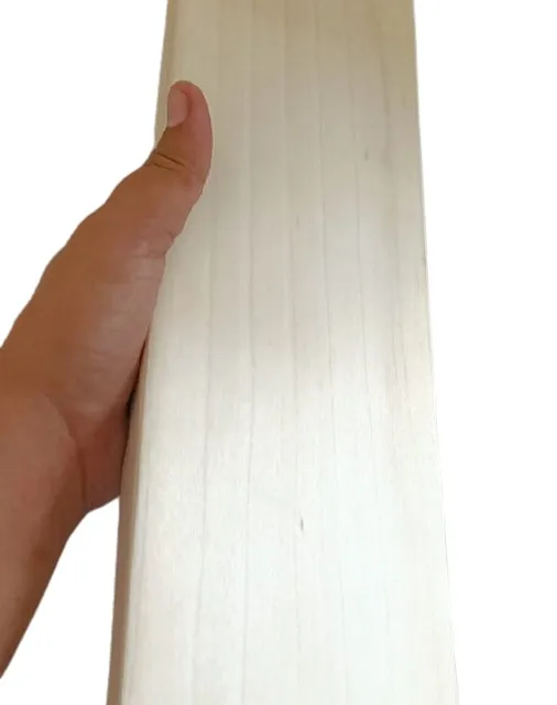 English Willow Customize top Professional Players Quality Cricket Bat Brand Srinika Sports