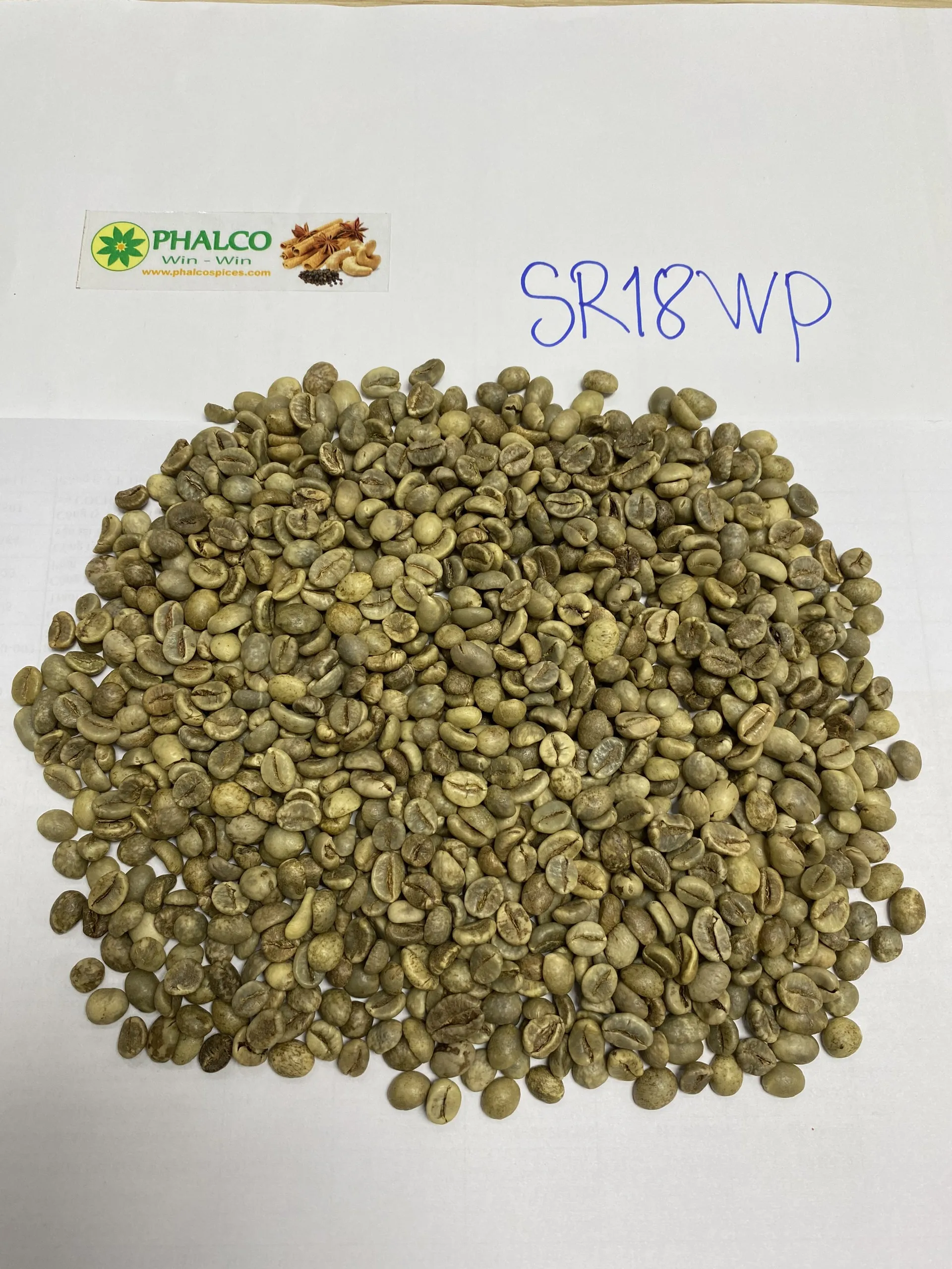 Новый Урожай 2024 вьетнамский зеленый кофе в зернах робуста и арабика Быстрая доставка низкая цена