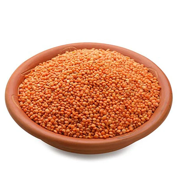 red lentil for Europe