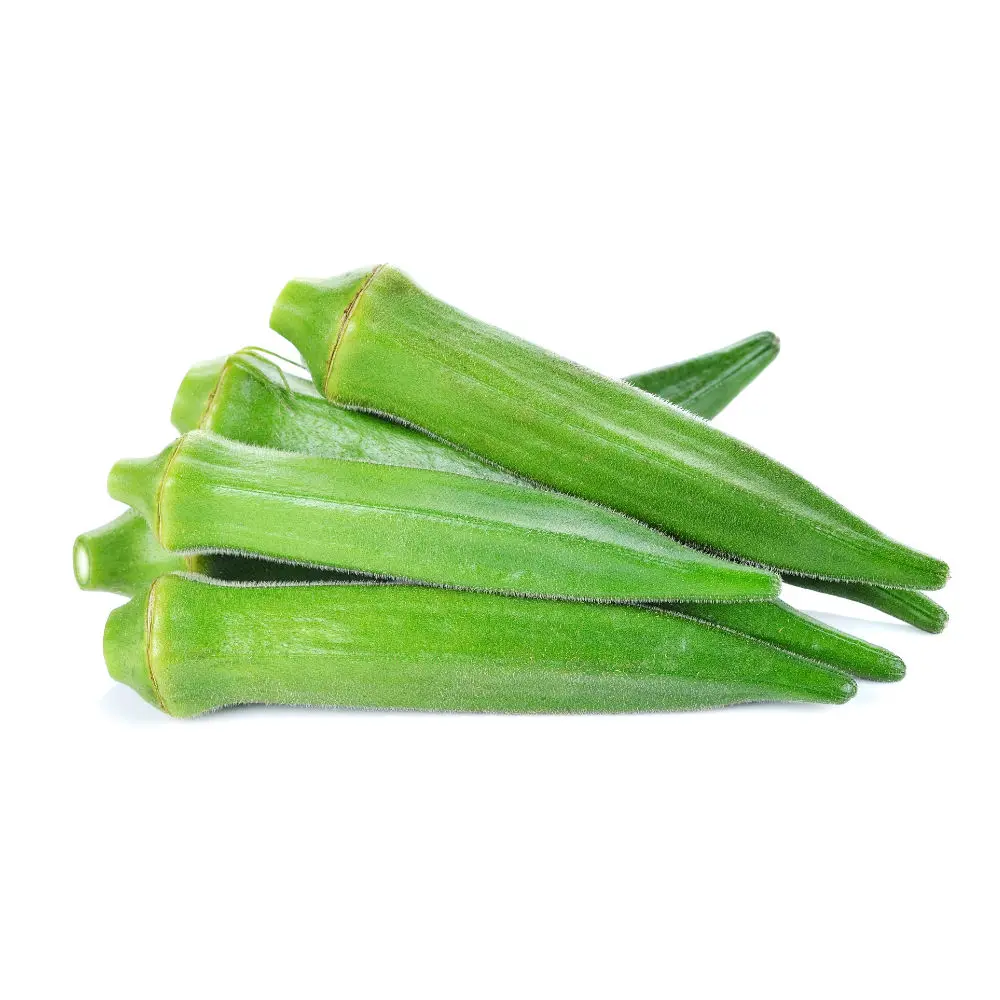 Лучшая Оптовая поставка 100% чистые натуральные свежие овощи Ladyfinger Green Okra для продажи по всему миру низким конкурентоспособным