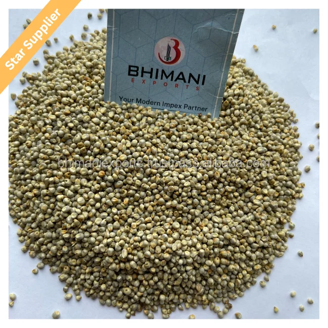 Proso Millet For Animal Feed