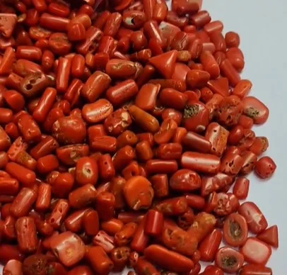 561 Pcs Of Natural Italian Coral 6-11mm Rectangle Cabochon 955 cts lot Iroc Sales Good quality genuine coral loose gemstone cab