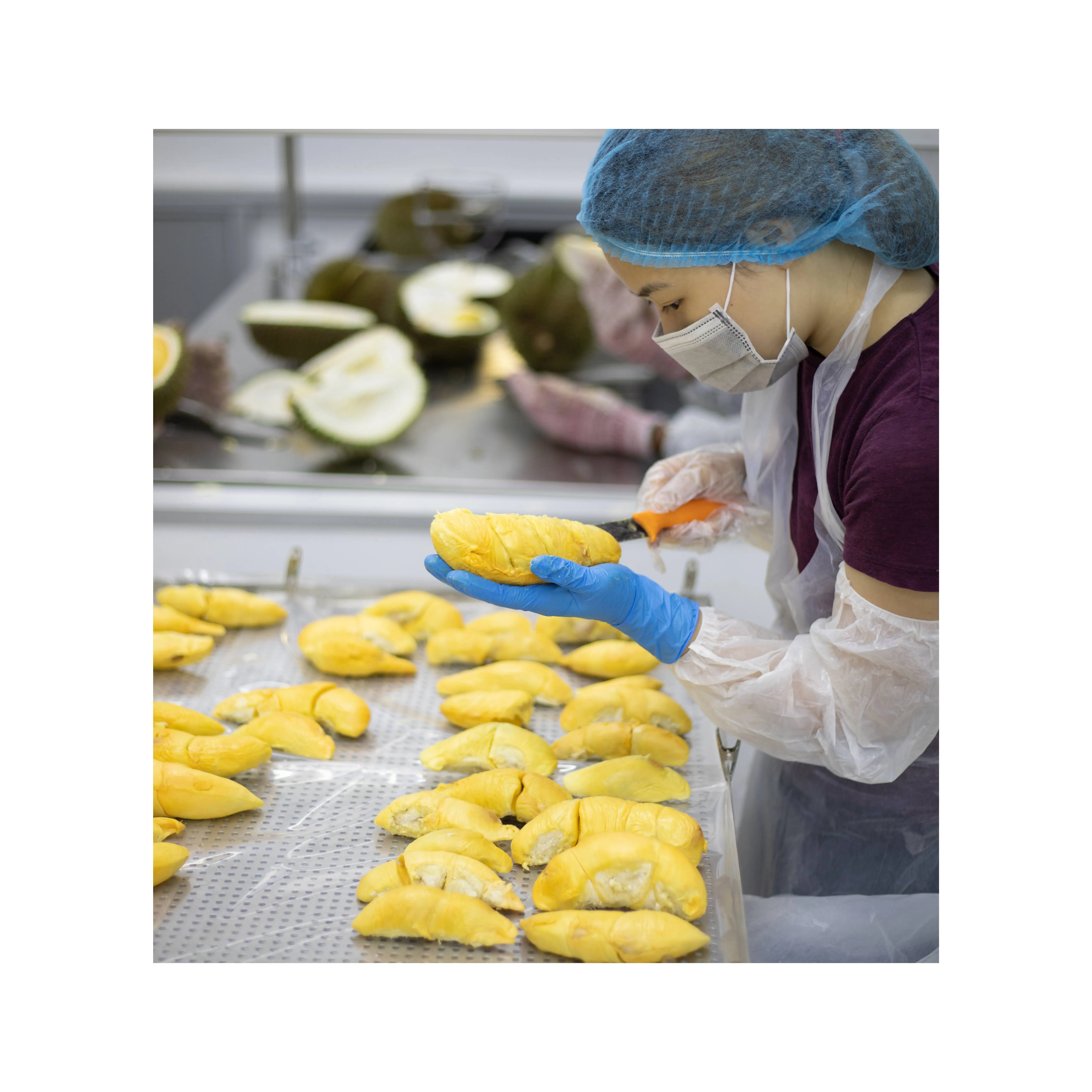 Supplier Wholesale New Arrival Malaysia Natural 100% Pure Musang King Paste With 24 Months Shelf Life With Vacuum Pack Design