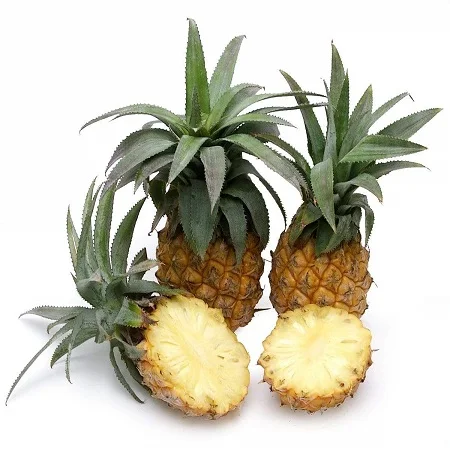 Pineapple Fruit Pineapple