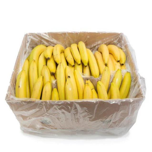 Top Quality Fresh Cavendish Bananas in Bulk - Fresh Fruits Cavendish Banana Wholesale Price Export Quality