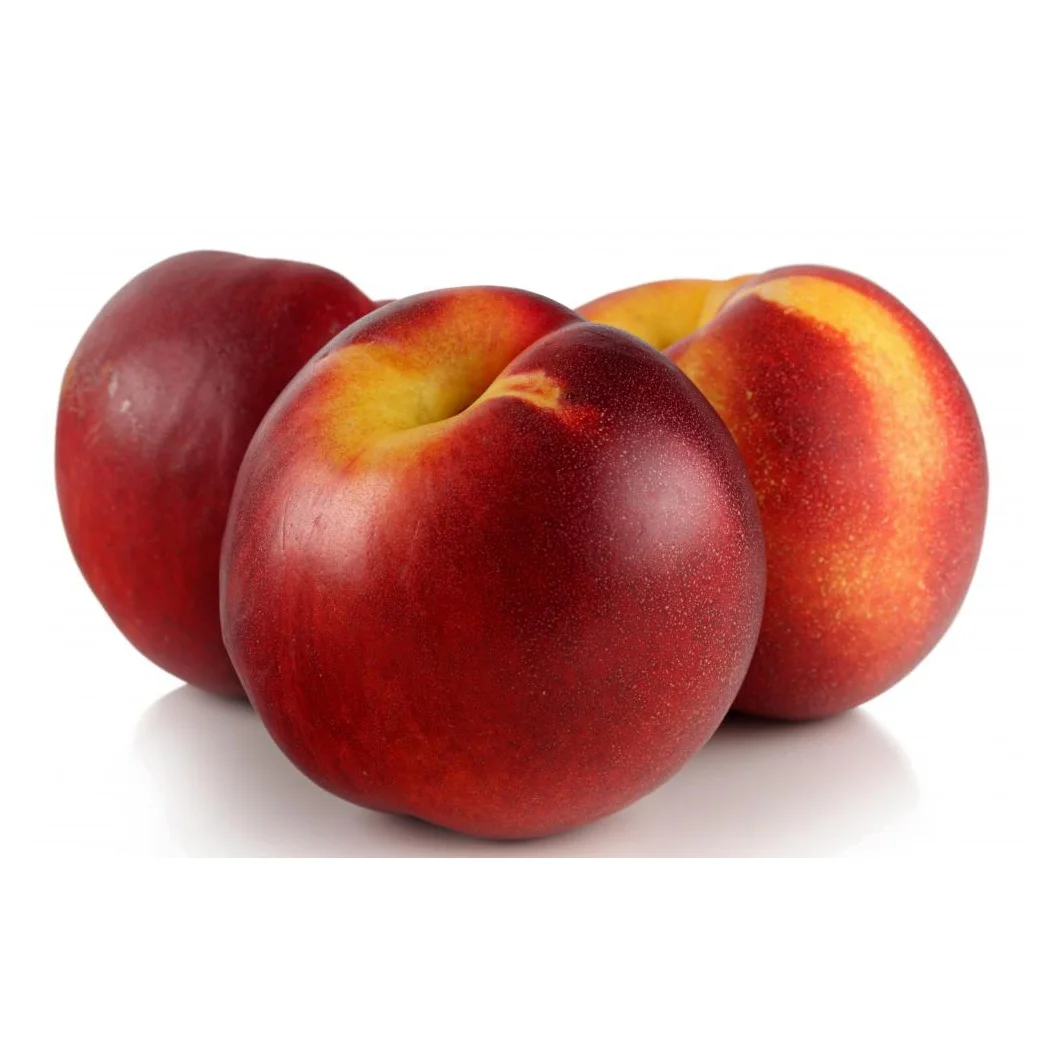 High Quality Fresh Fruit Nectarines At Low Price