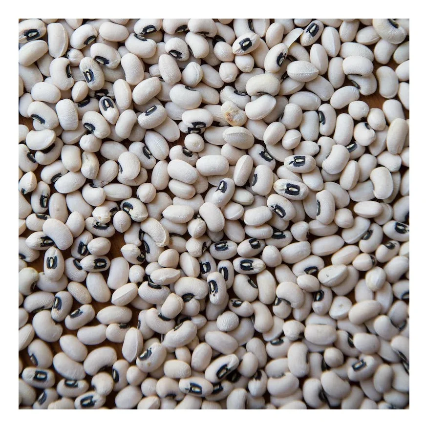 Оптовая продажа натуральные бобы с черными глазами/бобы белого Cowpea
