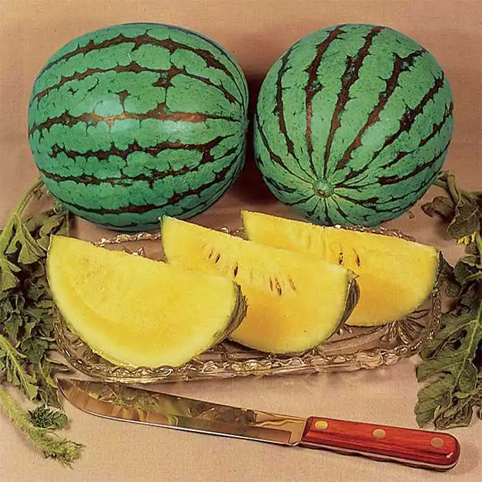 Fresh red/yellow/seedless watermelons for sale , ready to export from egypt , watermelon fruit