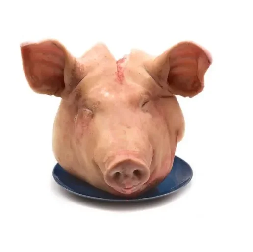 Cheap Price Supplier From Germany Whole Frozen Pork Heads (whole heads with ears and tongue) At Wholesale Price