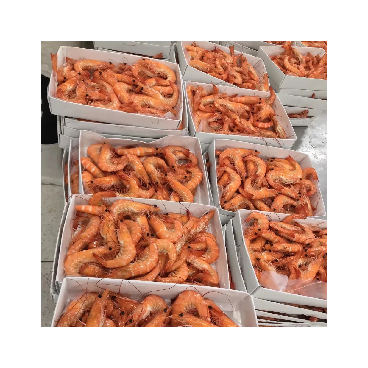 Cheap Wholesale Top Quality Red Shrimps Prawns / Frozen Vannamei Shrimp (Seafood) In Bulk