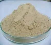 coral  supply Pine Bark Extract Powder Wholesale indian  Maritime Pine Bark Extract 95% OPC Pine Bark Extract