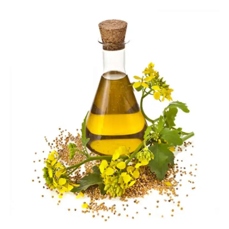 Pure Crude Rapeseed Oil crude degummed rapeseed oil industrial rapeseed oil For Sale