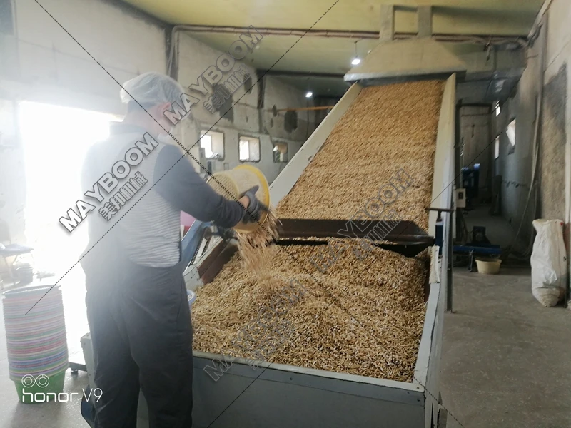 sunflower seeds air dryer 