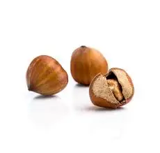 Natural Premium Quality Hazelnut