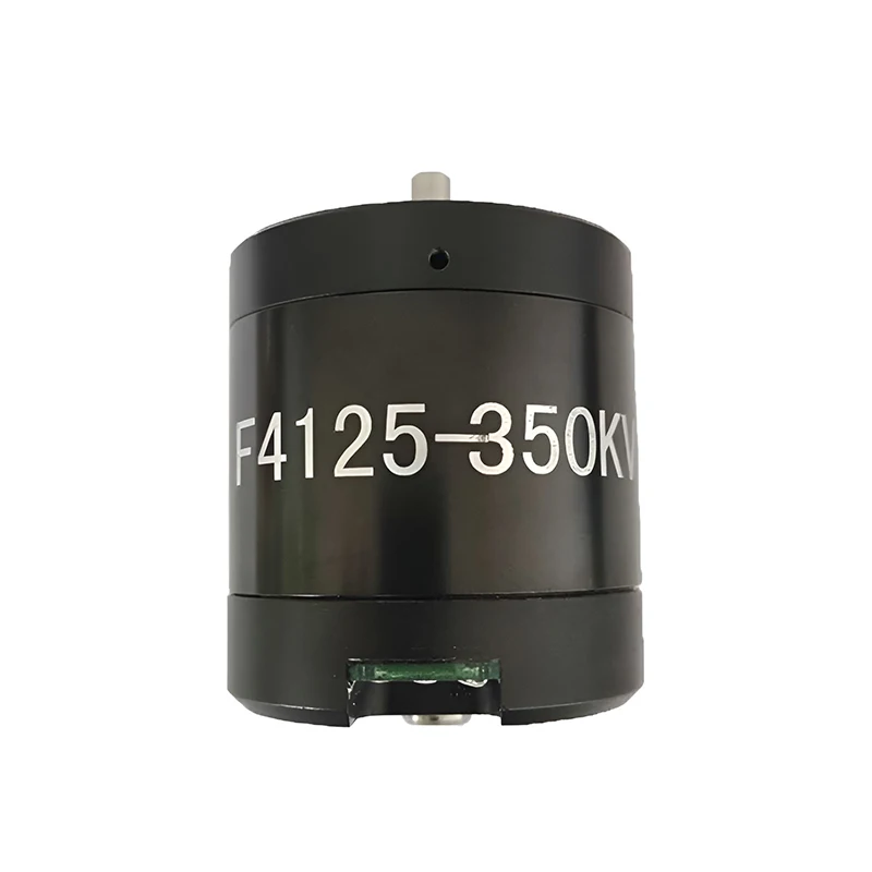 Faradyi Customized Waterproof Electric Motor With Hub Motor Brake 24V 12V 300W Motor