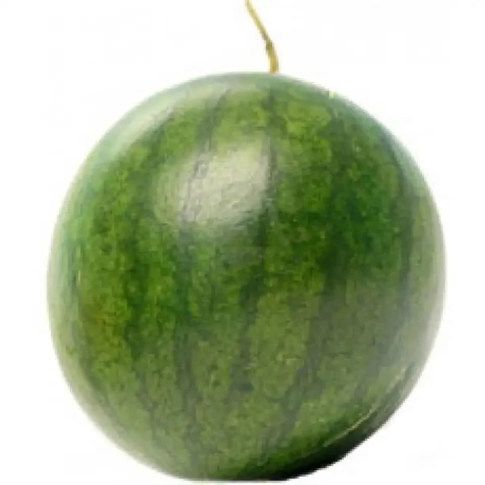 Fresh sweet watermelon, seed watermelon for sale, wholesale watermelon fruit sweet and juicy