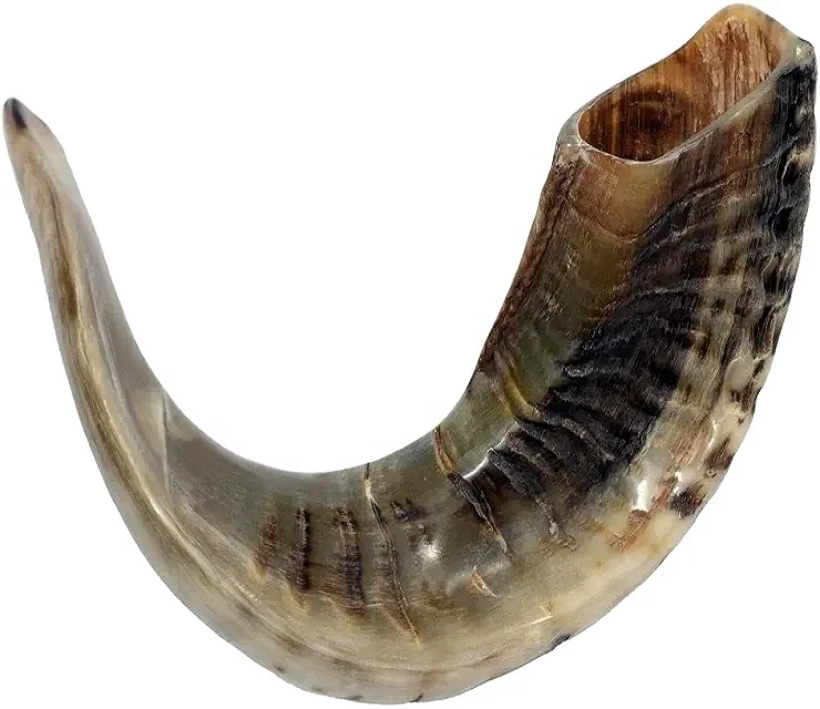 Распродажа, Кошерный чёрный рог, натуральный Рог из Индии, Chofar, размер от 14 до 16