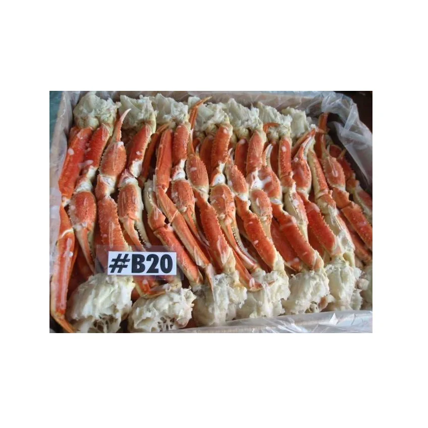 Hot Sale Price Of Fresh / Frozen Sea Crab For Sale