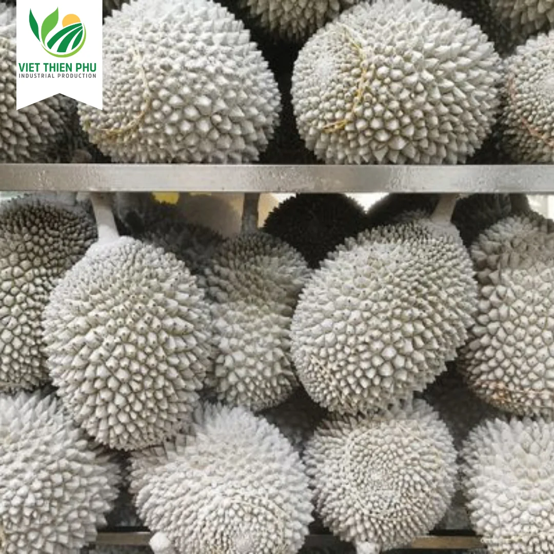 Frozen Durian Ri6/ Frozen Durian Monthong/ Fresh Durian From Viet Nam