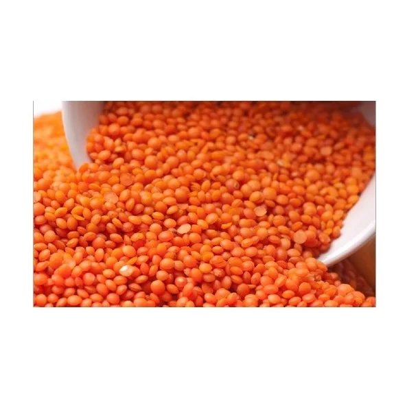 High Quality Organic Canadian Red Lentils / Split Red Lentils Available For Sale At Low Price