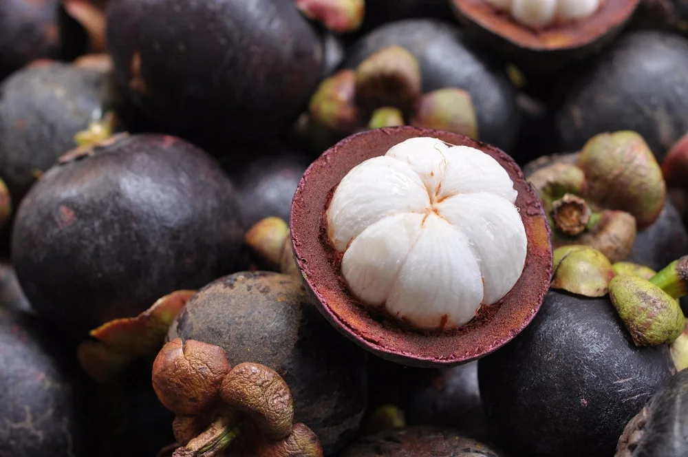 Best Seller Fresh Mangosteen Thai Tropical Fruit High Quality Premium Grade Export Product Wholesale Original From Thailand