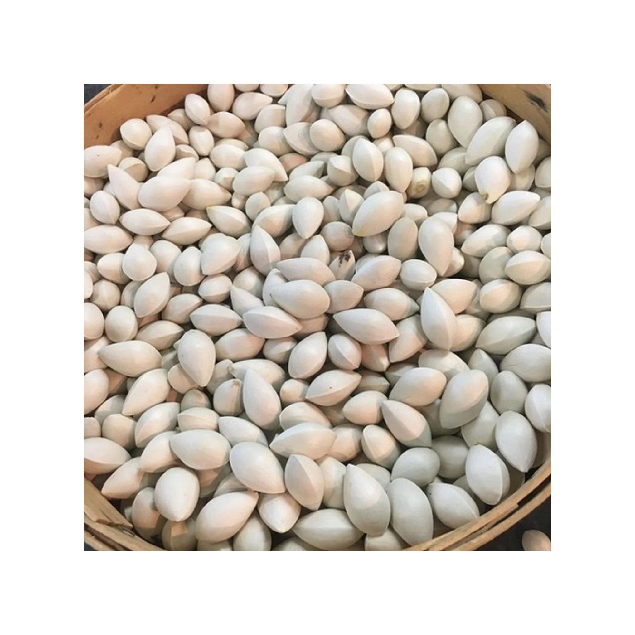 Hot Selling Price Of Raw Ginkgo Nuts Available in Bulk Quantity