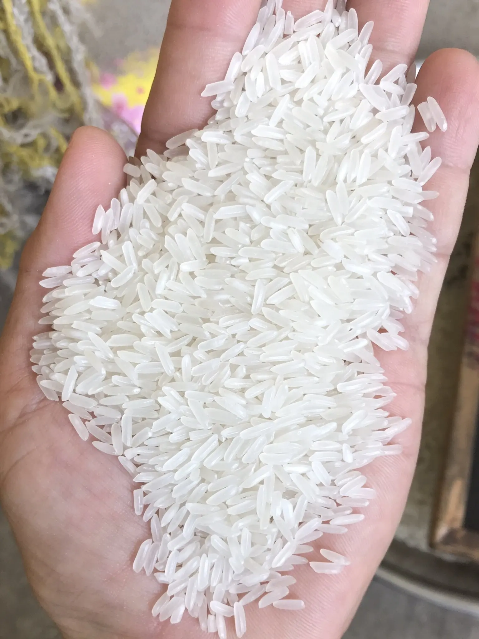 VN long grain white rice (OM5451) 5% broken max, wm, dp & sortexed of Summer crop 2022 at low price for sale