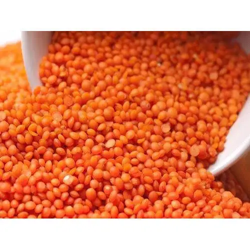 DRY YELLOW LENTILS