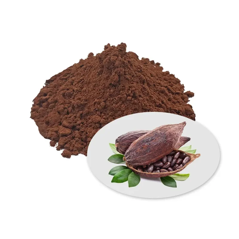 Wholesale Brown Dark Black Cocoa Powder Chocolate Natural Alkalized Cocoa Powder