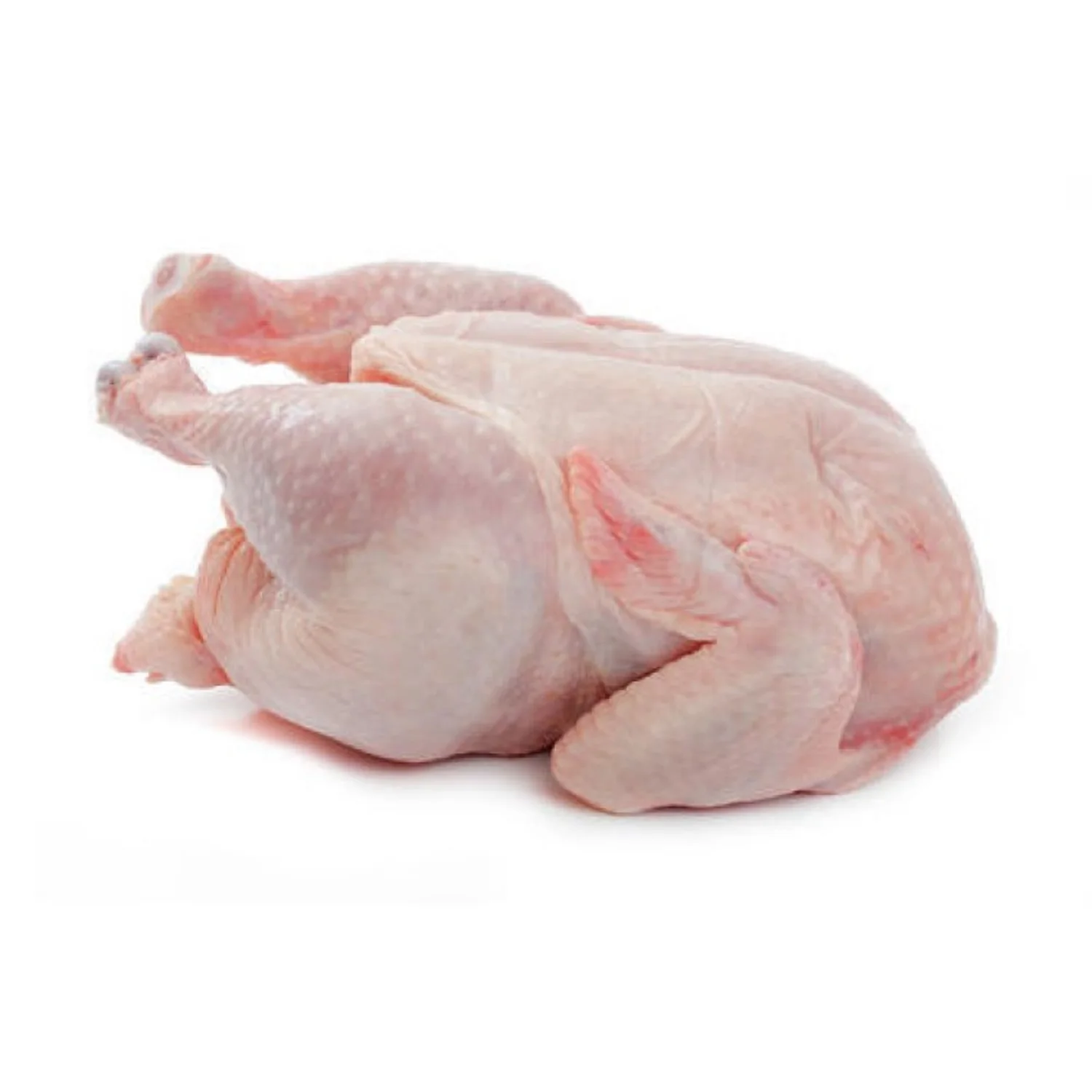 Quality Halal Frozen Whole Chicken Quality Wholesale Brazilian Halal Frozen Whole Chicken Premium Quality Frozen Whole Chicken